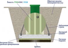 Гринлос Пром 2500