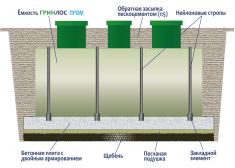 Гринлос Пром 2500